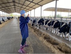 宁夏首单生鲜乳价格指数保险落地 中国人寿财险为奶产业高质量发展再添力 宁夏首单生鲜乳价格指数保险落地 中国人寿财险为奶产业高质量发展再添力